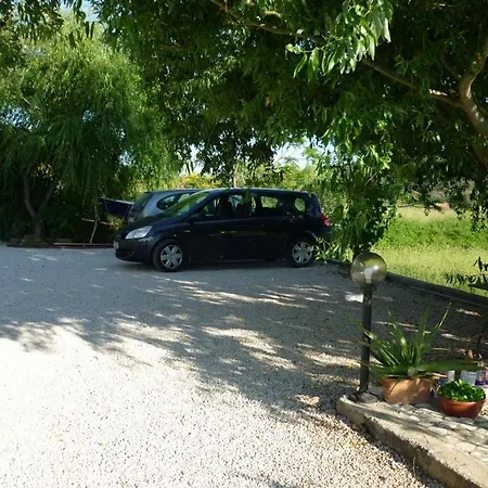 Bougenville Kampor