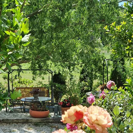 Bougenville Apartment